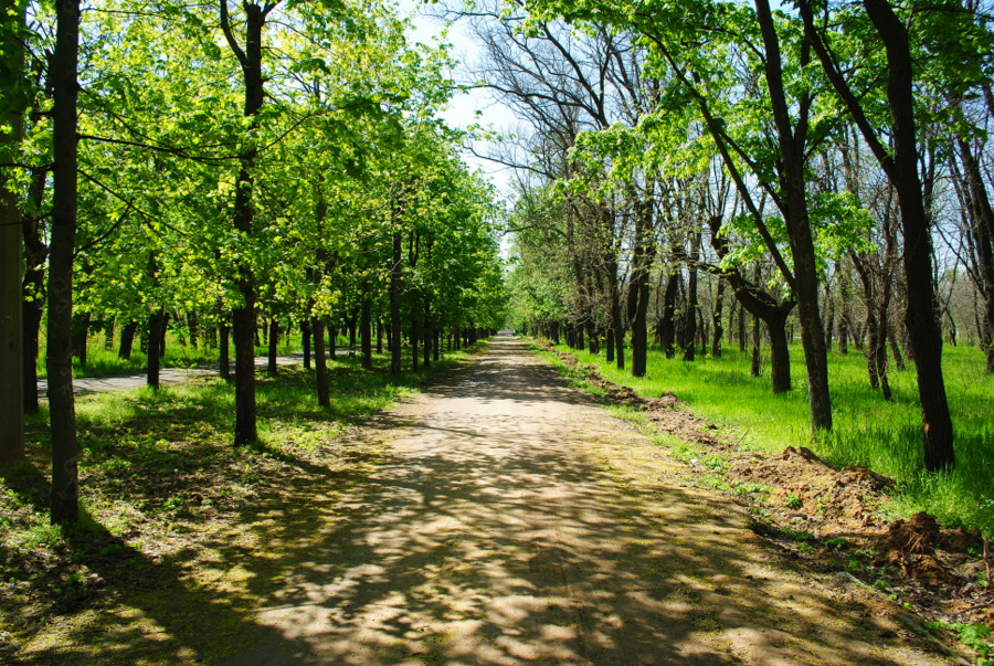 Парк Победы в Николаеве