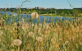 Город Николаев