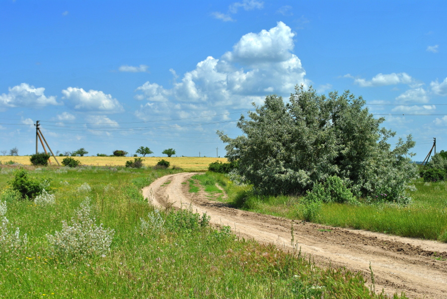  Староочаківська дорога та її околиці 